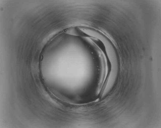 X0000076260485200610262009