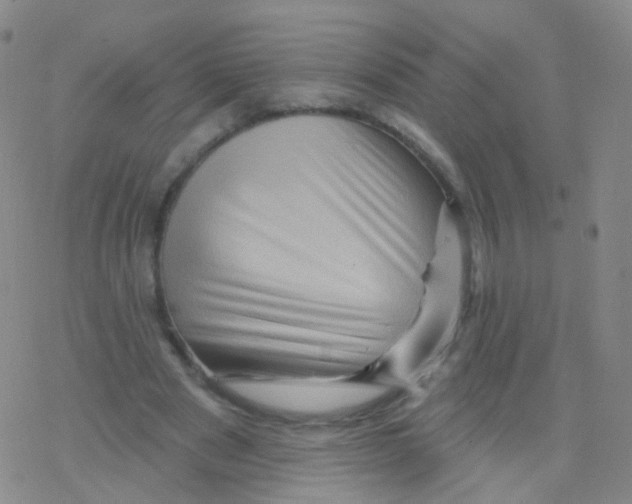 X0000076260489200610262009