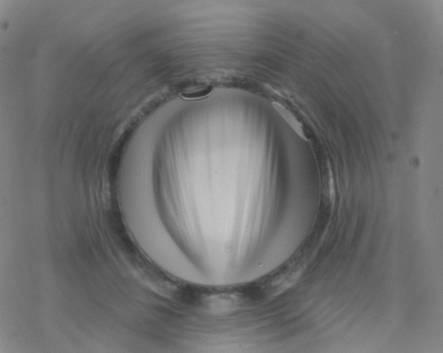 X0000076260508200610262008