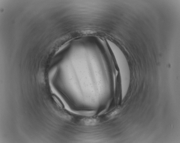 X0000076260512200610262008