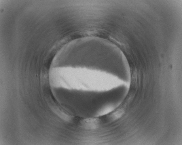 X0000076260526200610262008