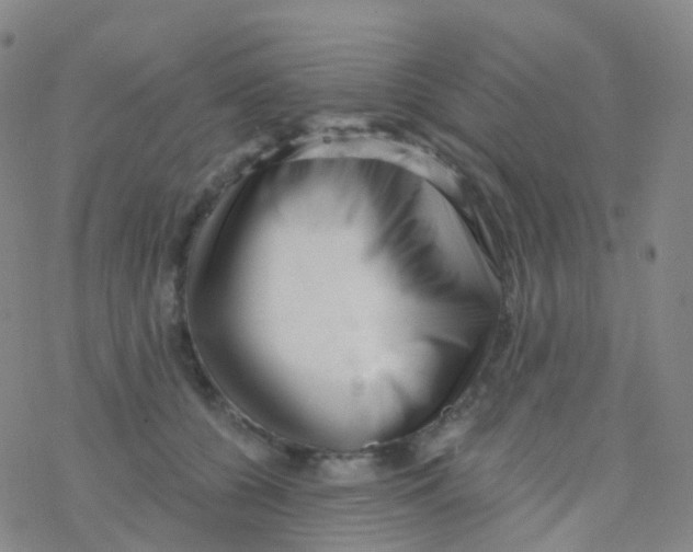 X0000076260560200610262008