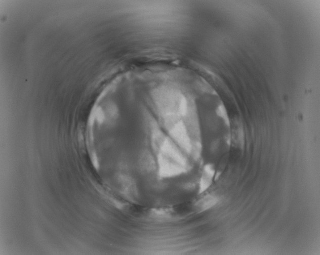 X0000076260573200610262008