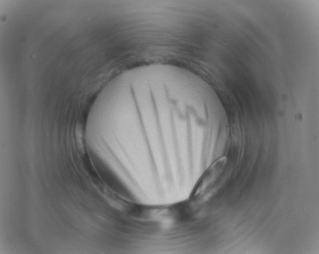 X0000076260575200610262008