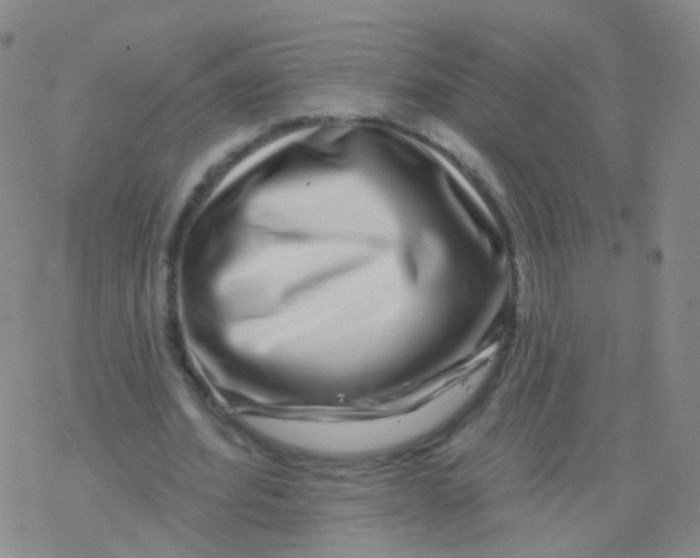 X0000076260580200610262007