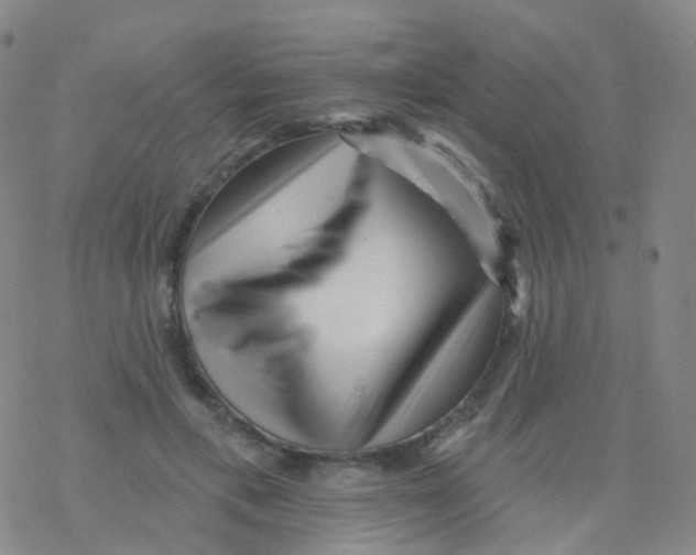 X0000076260597200610262007