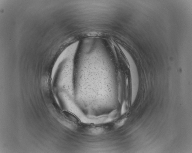 X0000076260604200610262007
