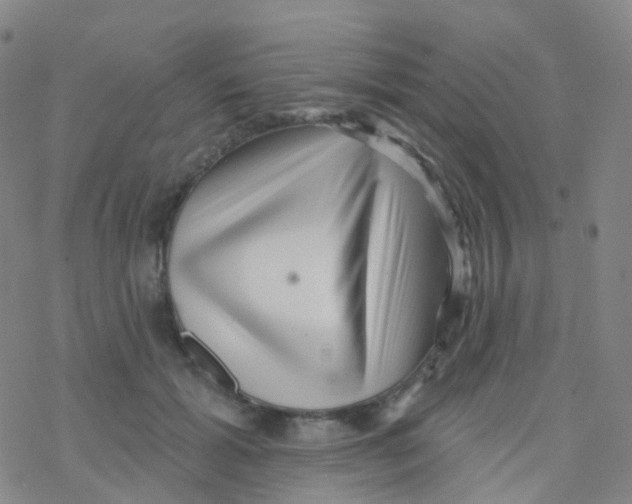 X0000076260605200610262007