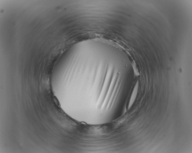 X0000076260613200610262007