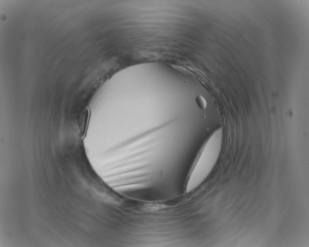 X0000076260617200610262007