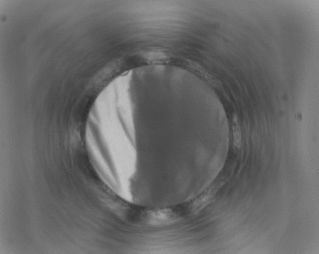 X0000076260618200610262007
