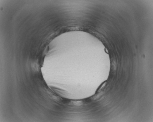 X0000076260665200610262006