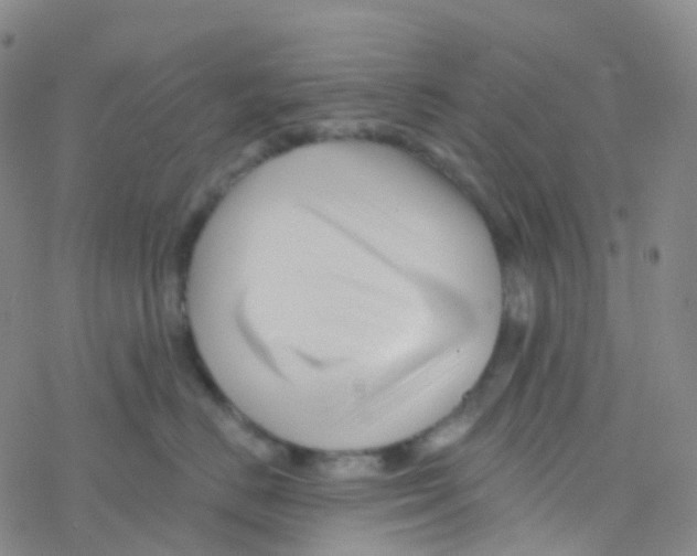 X0000076260670200610262006