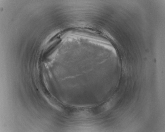 X0000076260674200610262006