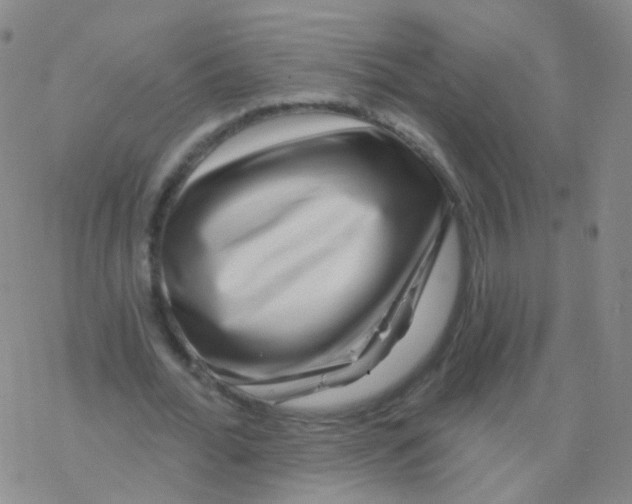 X0000076260676200610262006