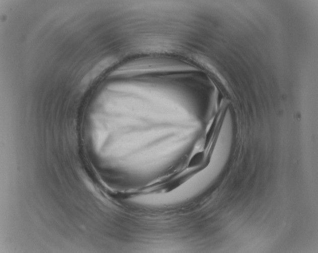 X0000076260677200610262006