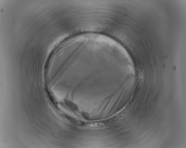 X0000076260678200610262006