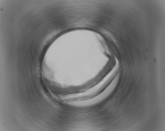 X0000076260680200610262006