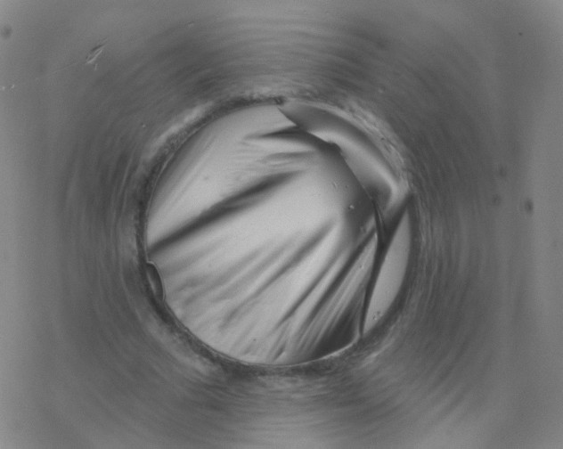 X0000076260681200610262006