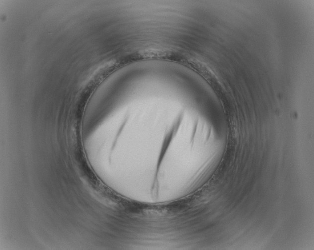 X0000076260690200610262005