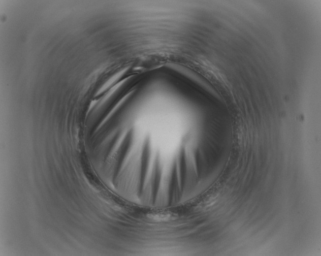 X0000076260693200610262005