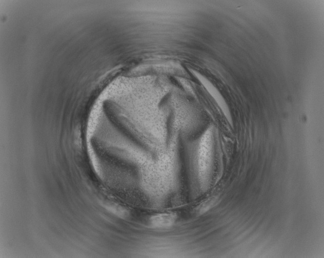 X0000076260700200610262005