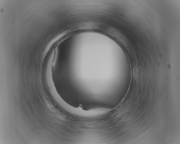 X0000076260724200610262004