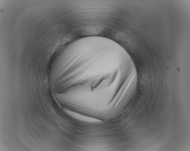 X0000076260743200610262005