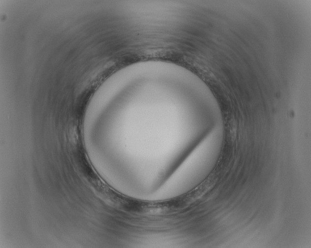 X0000076260746200610262005