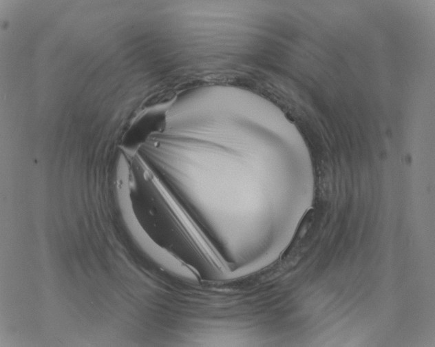 X0000076260748200610262005