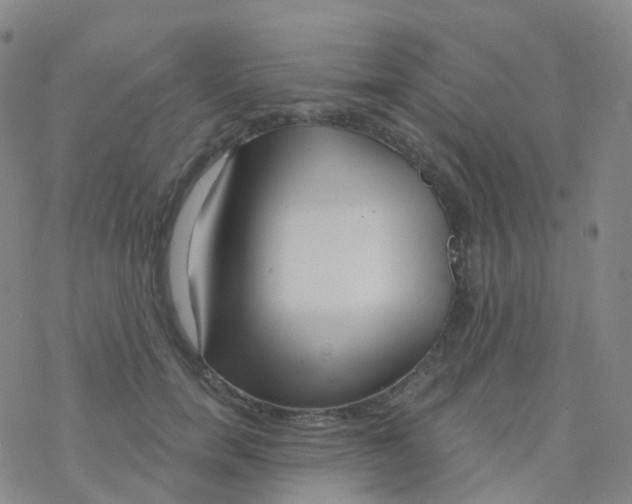 X0000076260750200610262005