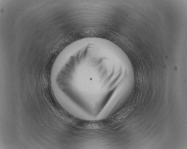 X0000076260751200610262005