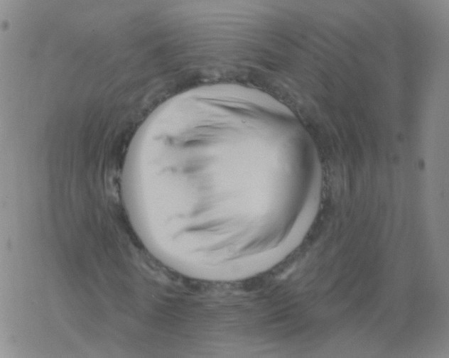 X0000076260770200610262004