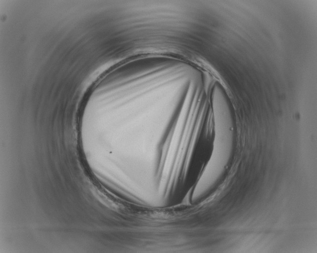 X0000076260787200610262004