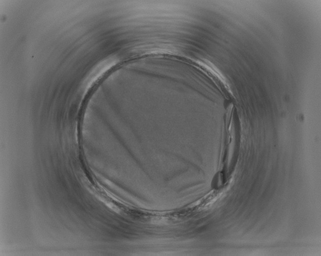 X0000076260790200610262004