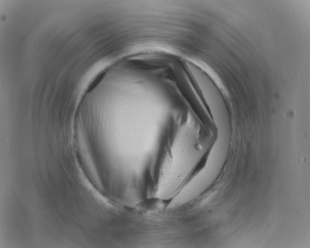X0000076260815200610262003