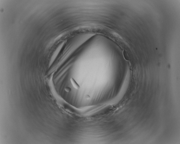 X0000076260822200610262003
