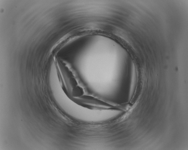 X0000076260826200610262003