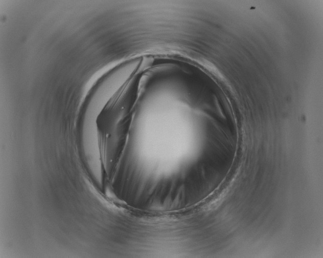X0000076260838200610262003
