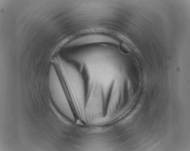 X0000076260841200610262003