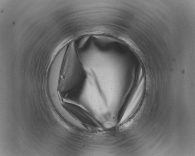 X0000076260850200610262003