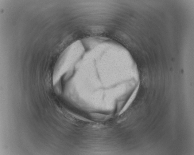 X0000076260866200610262003