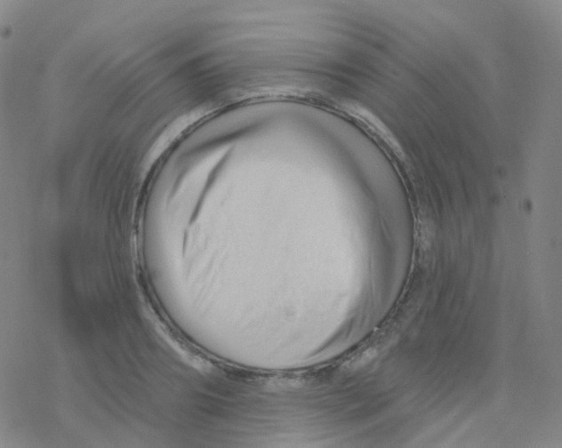 X0000076260890200610262002
