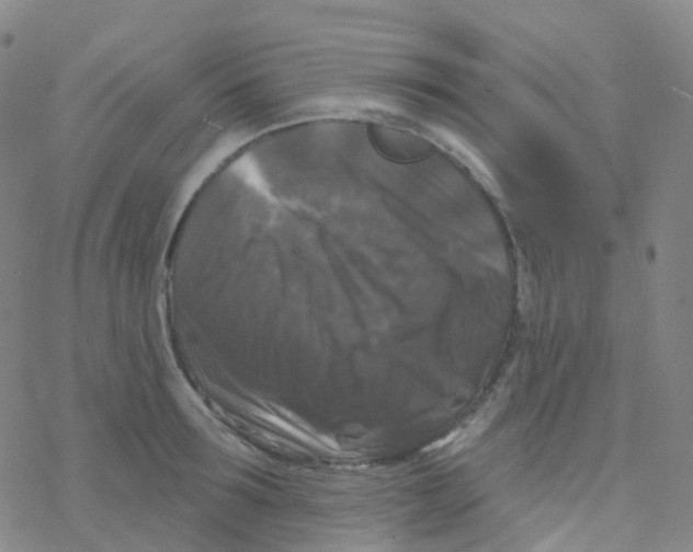 X0000076260899200610262002