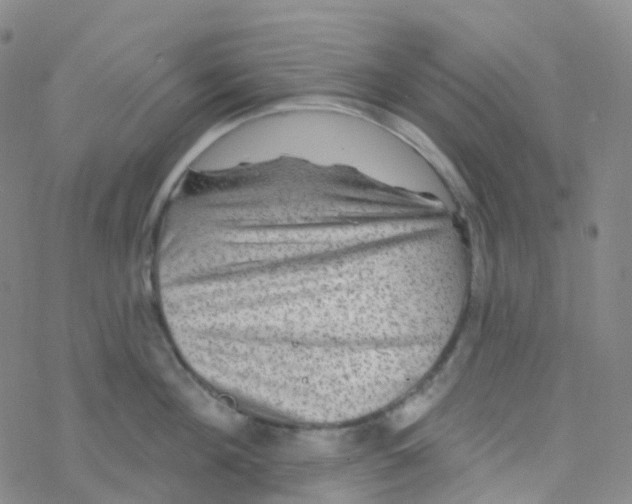 X0000076260908200610262002