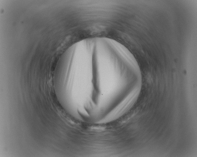 X0000076260914200610262001