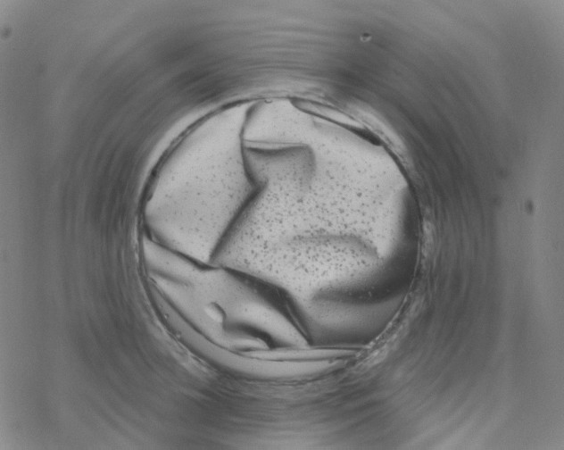 X0000076260948200610262002