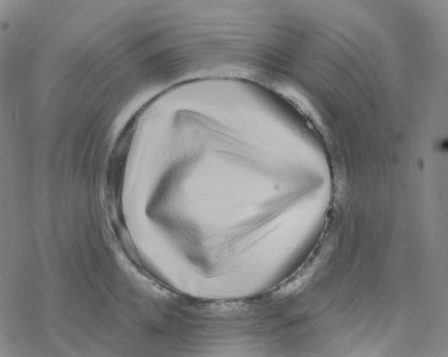 X0000076260952200610262002