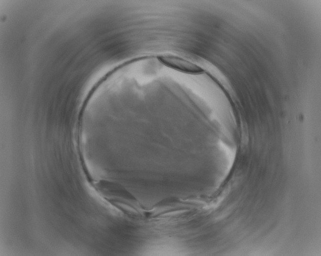 X0000076260958200610262002