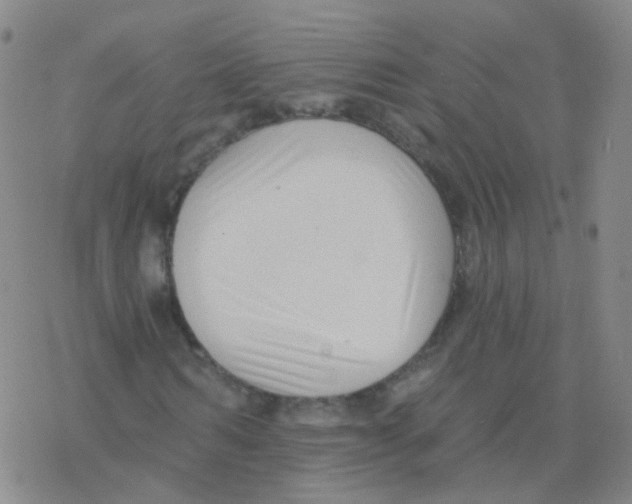 X0000076260962200610262001